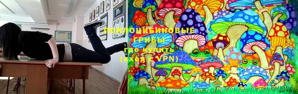 спайс Волосово
